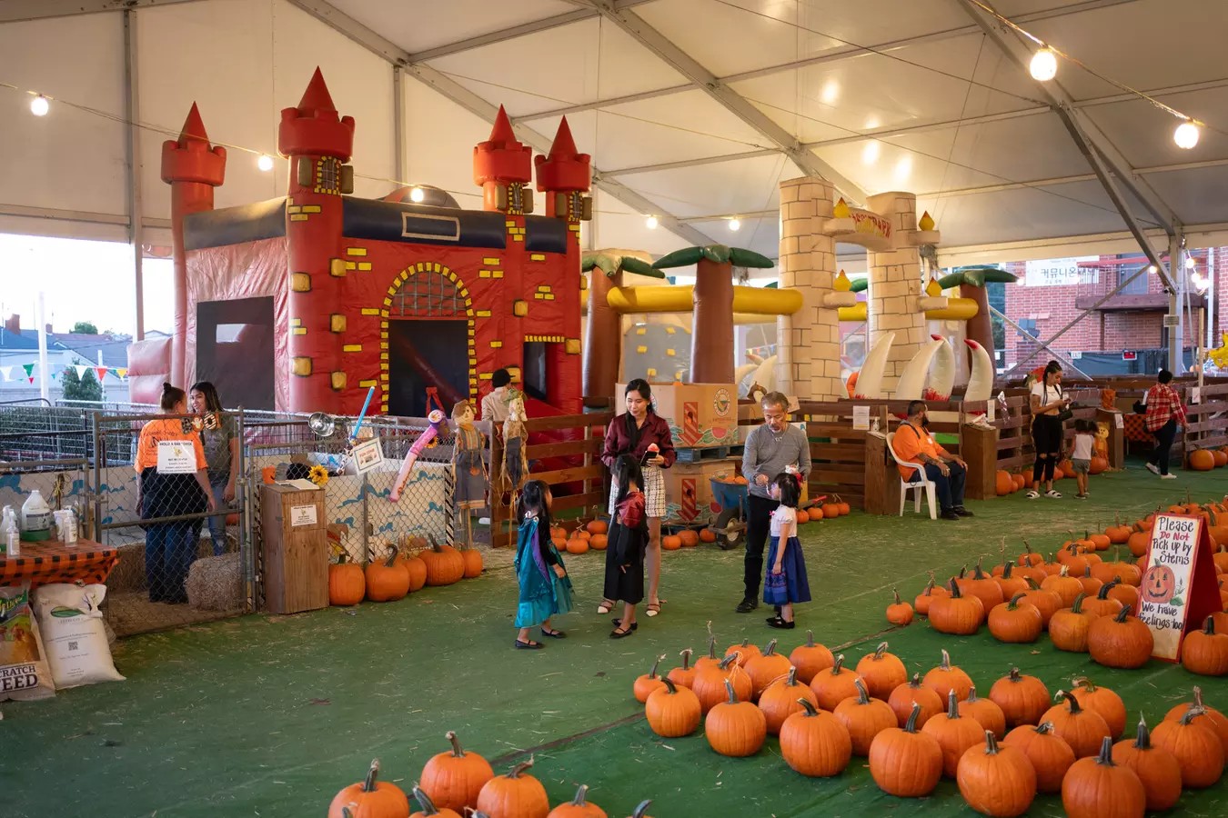 Fall Family Fun: Weekday Pumpkin Patch Passes (Save Up to 44%)