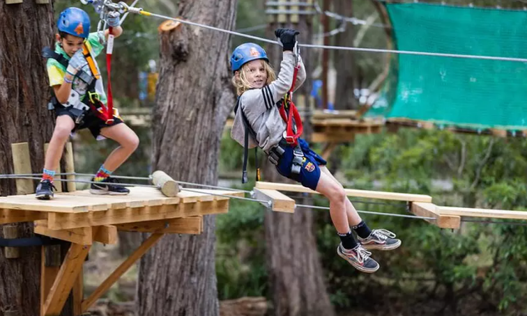 Canberra Junior Tree Ropes Course: Fun Aerial Challenge for Kids