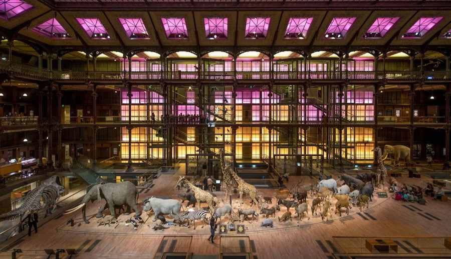 Great Gallery of Evolution Paris Tickets – Explore Natural History