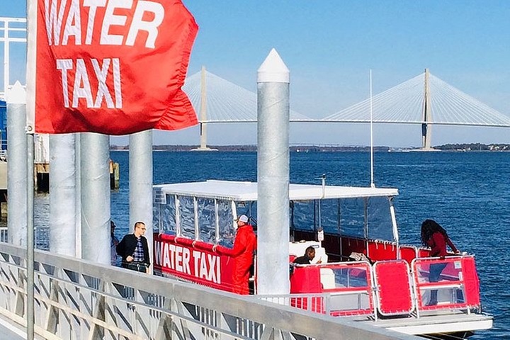 Charleston Water Taxi Cruise – Dolphin Watching Adventure