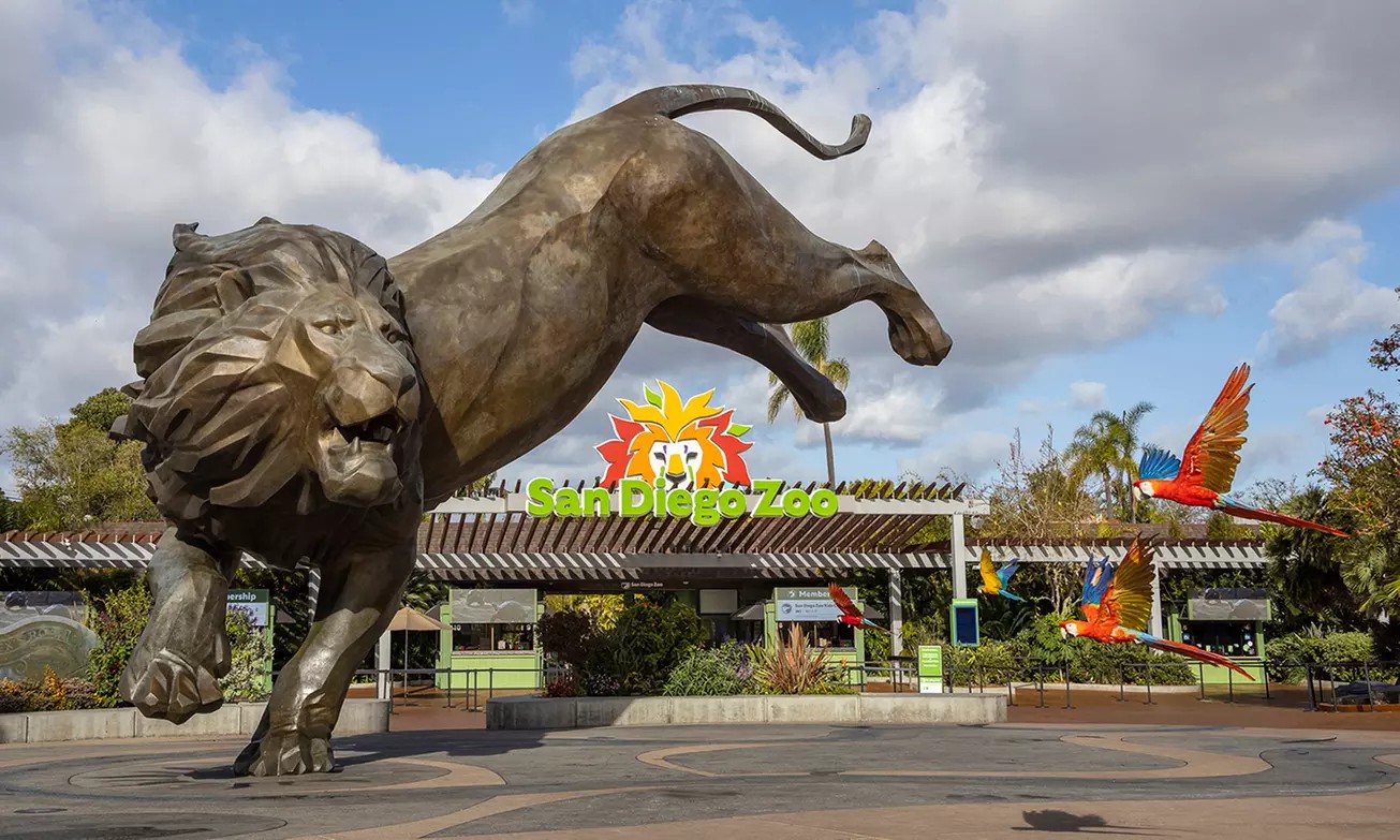 Explore the Best of San Diego Zoo: 1-Day Pass with Guided Bus Tour & Skyfari Tram