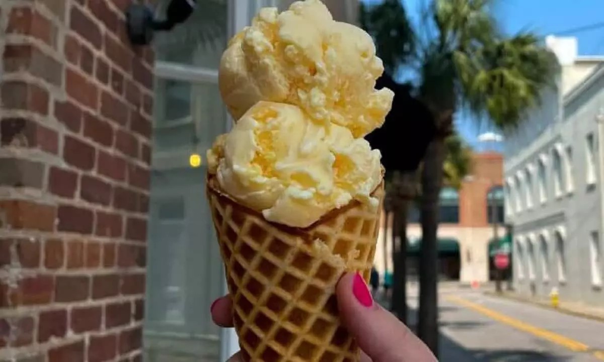 Discover Hidden Flavors: Secret Food Tour for Adults & Kids (Save Up to 20%)