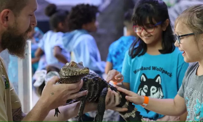 Explore Marine Wonders & Exotic Creatures at Austin Aquarium – Save Up to 40%