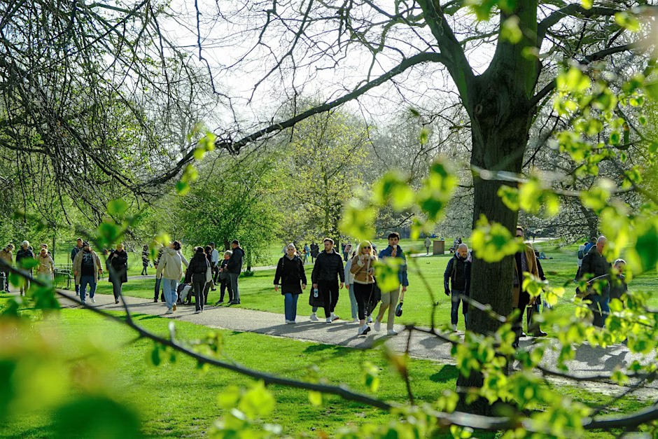 Monthly Mindful Walk (Salt Lake City)