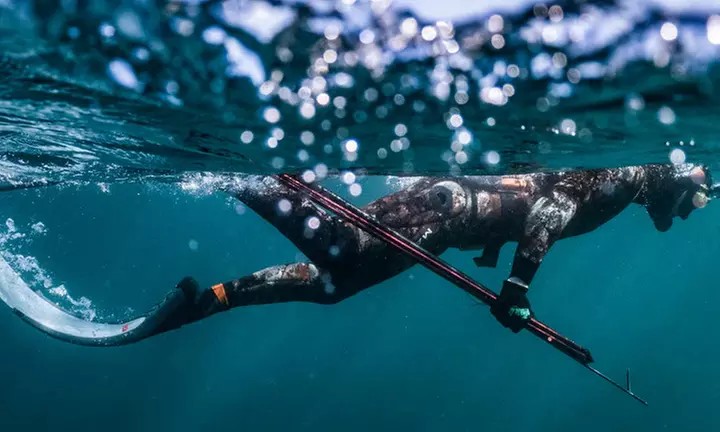 Dive In: Up to 36% Off Spearfishing Adventures with Just Get Wet