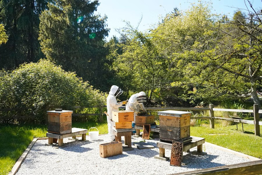 Vancouver Garden Escape: VanDusen Botanical Tickets