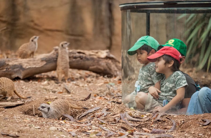 Nashville Zoo at Grassmere Tickets – Explore Wildlife in Nashville