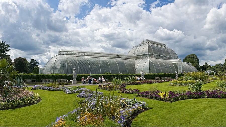London Kew Gardens Tickets – Entry to Iconic Botanical Gardens