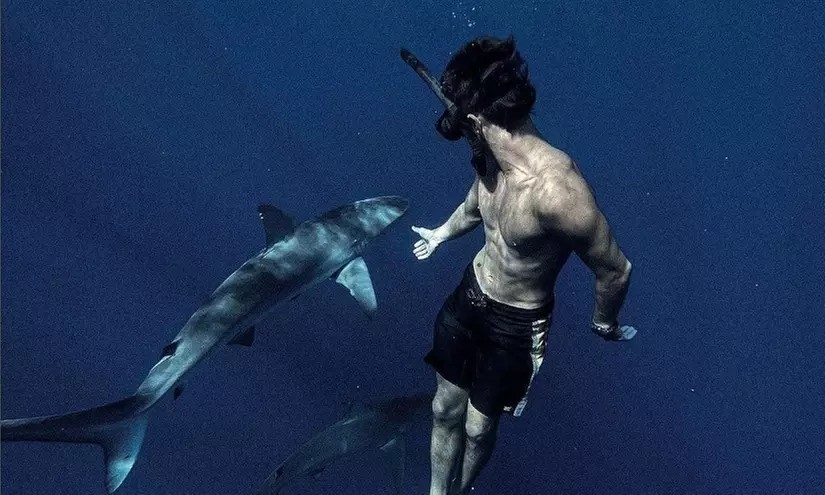 Shark Diving Adventure at Island View Hawaii – Up to 20% Off