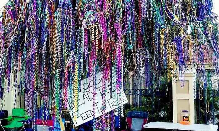 NOLA Like a Local: All That Jazz Walking Tour for One, Two, or Four with Gumbo Yaya Tours