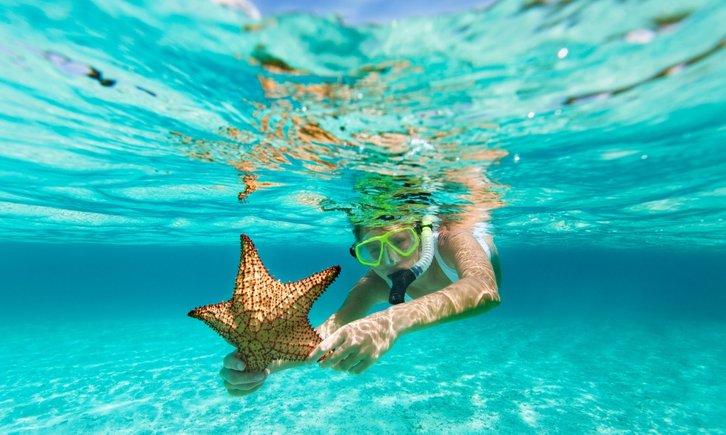 ☀️ Explore Underwater Reefs – Snorkel Rental for 1 or 2 with Optional Wetsuit (Up to 34% Off)