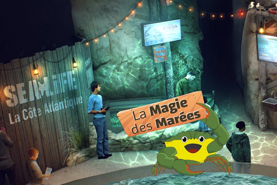 SEA LIFE Aquarium Paris Admission Ticket – Discover Underwater Life