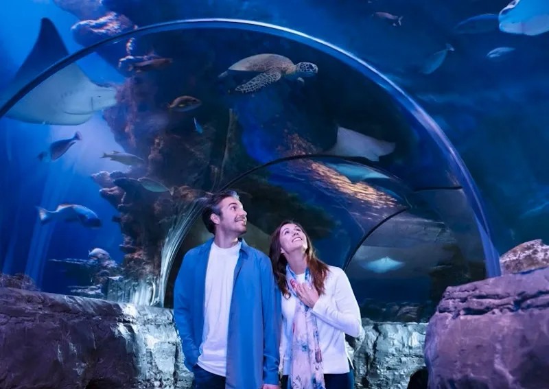SEA LIFE Aquarium Grapevine Tickets – Dallas Area