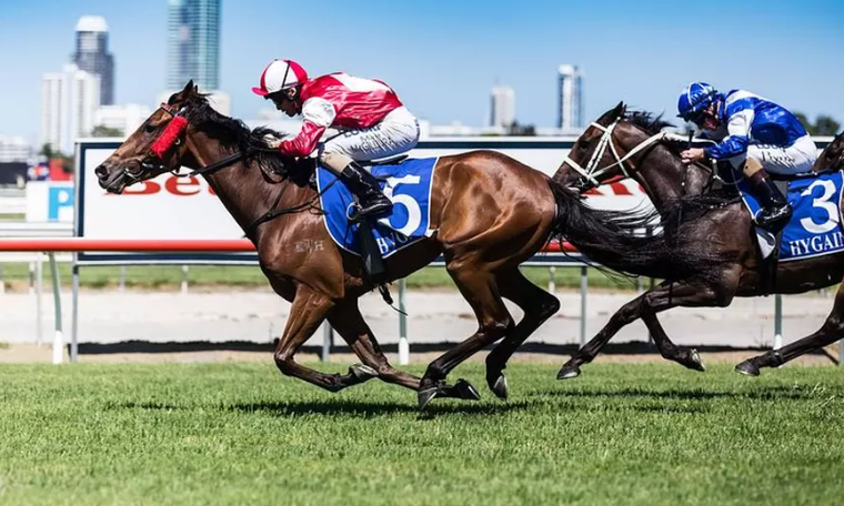 Sydney Harbour Melbourne Cup Cruise
