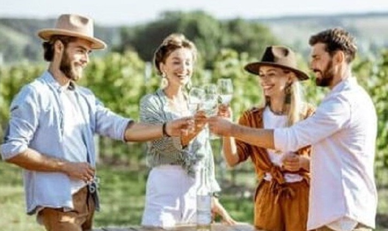 Sip & Savor: Wine Tasting with Two-Course Lunch on Mount Tamborine