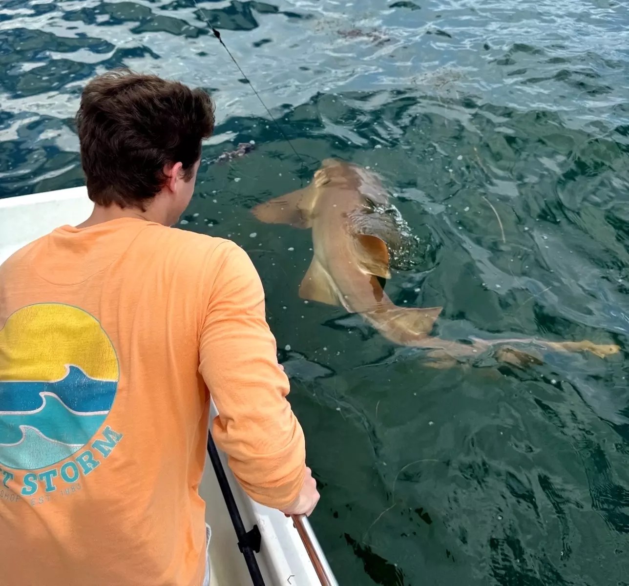 Cast, Catch, Repeat: Inshore & Nearshore Fishing Charters in Tampa Bay