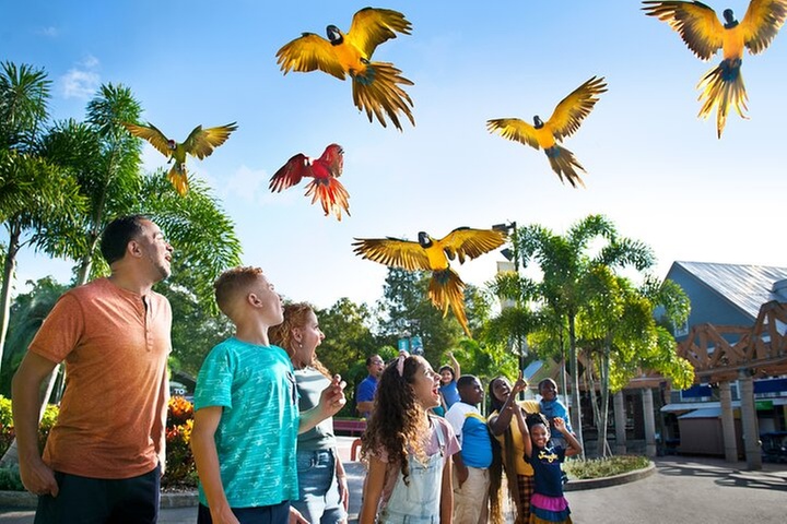 Explore Wildlife: ZooTampa at Lowry Park Admission