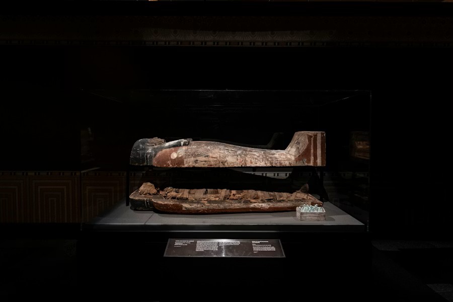 Houston Museum of Natural Science Visitor Tickets