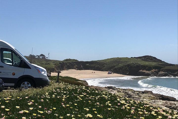 Sausalito and Sonoma Adventure – Full-Day Tour from San Francisco