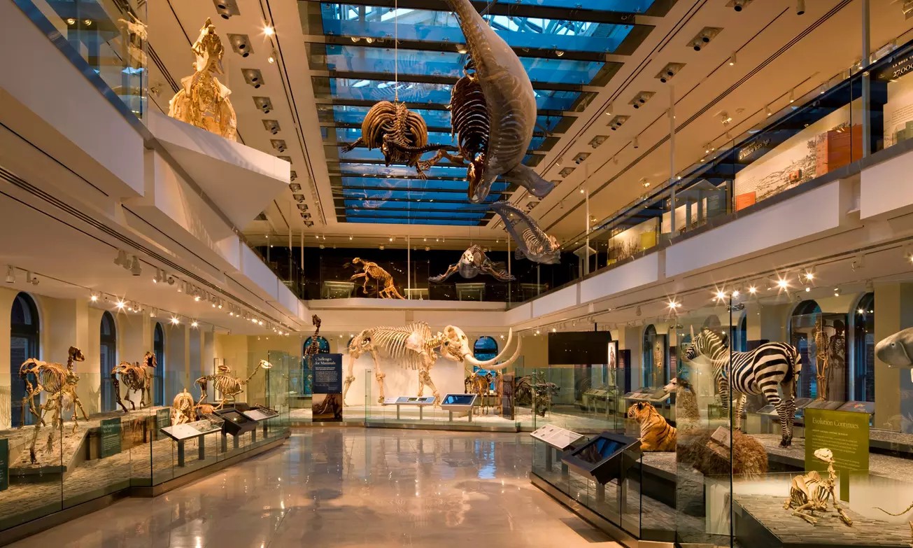 Step Into the Story of Earth – Tickets to the Natural History Museum