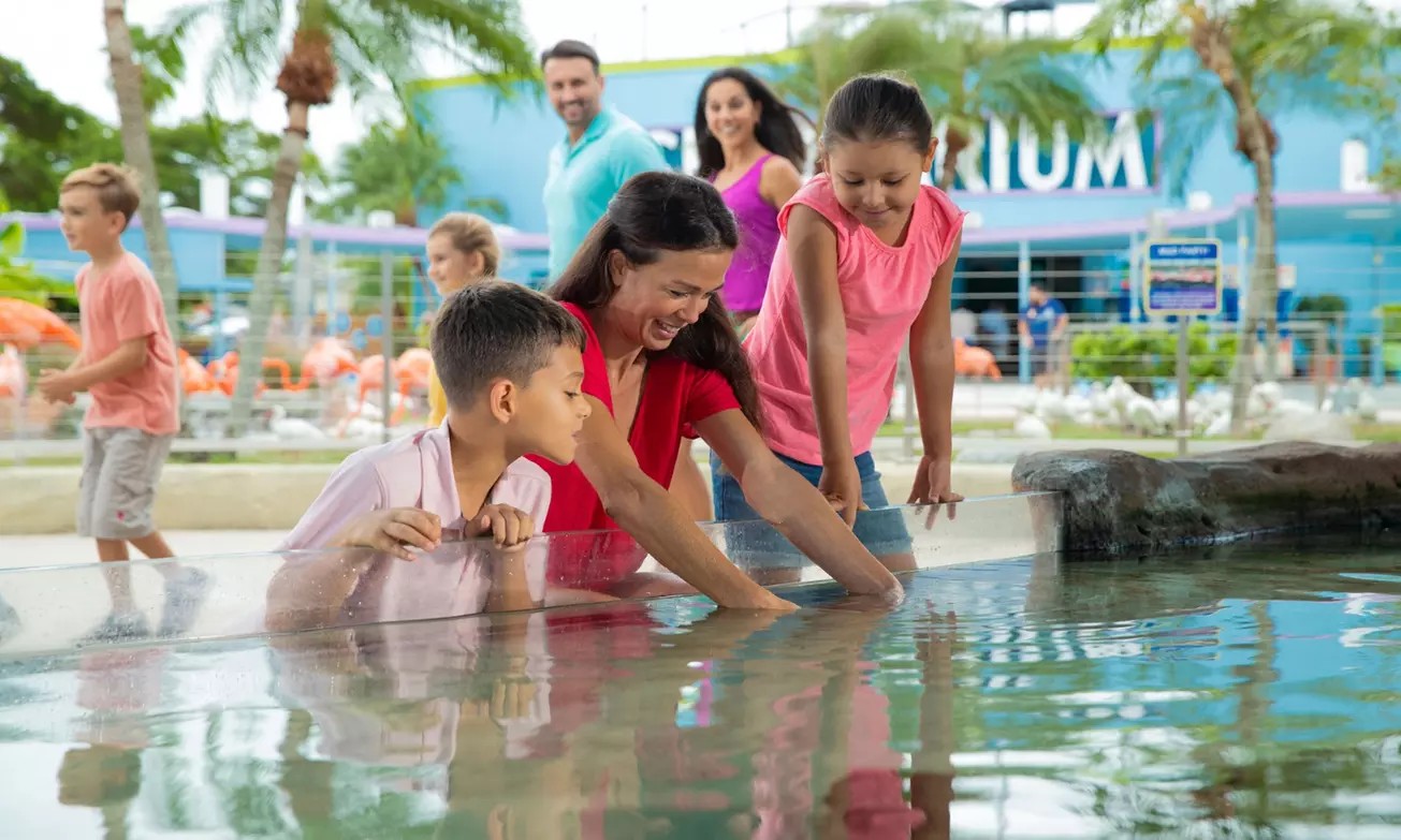 Explore Marine Life – Save Up to 40% on Aquarium Tickets