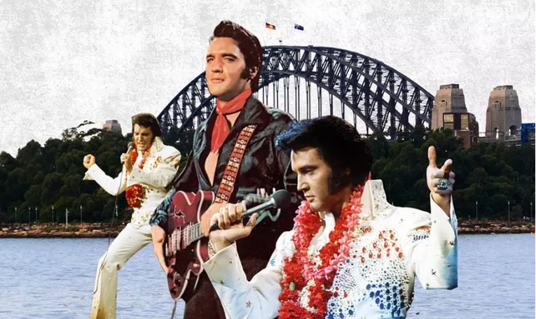Elvis Rocks the Harbour: 3-Hour Tribute Cruise