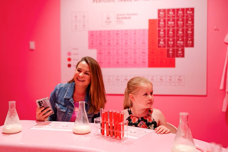 Discover Chicago Museum of Ice Cream