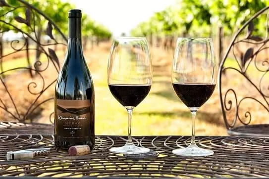 Private Hunter Valley Wine Tour with Tastings from Sydney