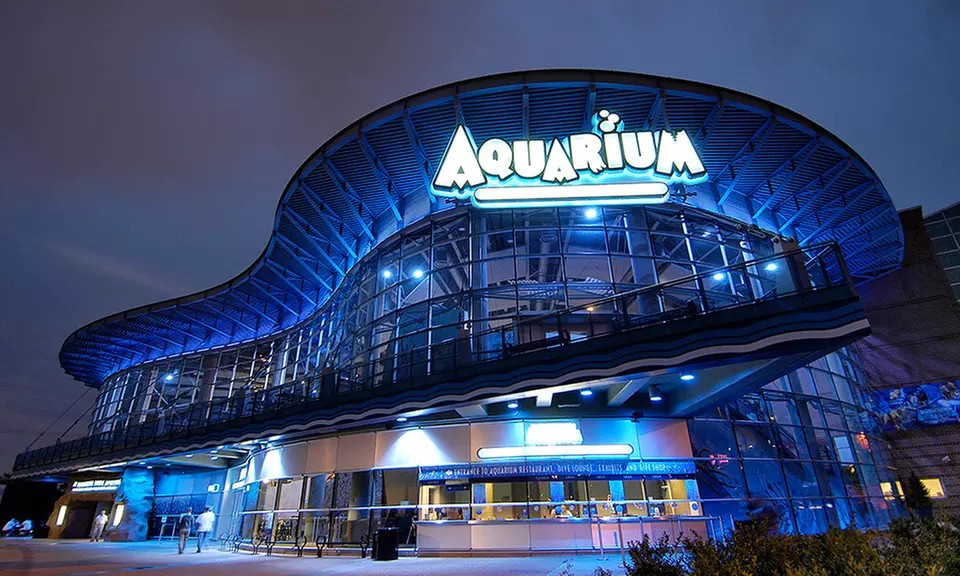 🐠 Dive Into Fun: Aquarium Denver Tickets + Landry’s eGift Card (Save Up to 27%)