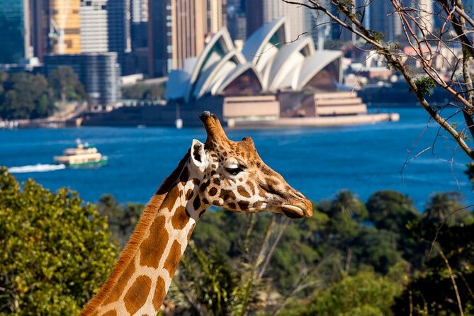 Taronga Zoo Sydney: General Admission Tickets