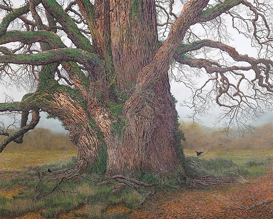 Charles Brindley | Drawing Workshop