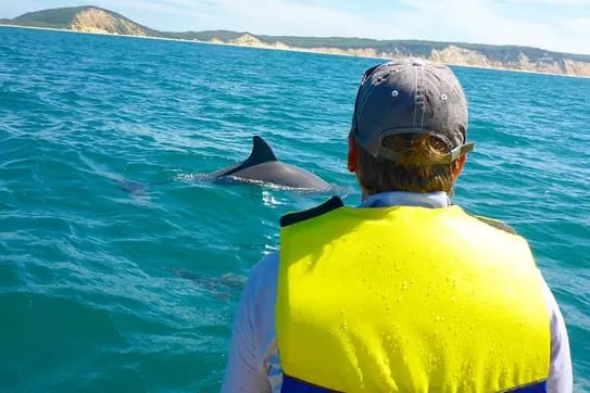 Rainbow Beach Dolphin & Wildlife Ocean Kayak and Beach 4WD Tour