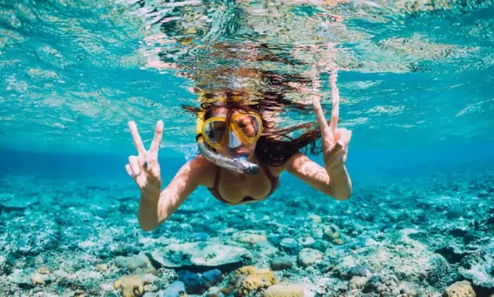 3-Hour Snorkeling Tour with Legacy Boats – Perfect for Groups, Save 30%