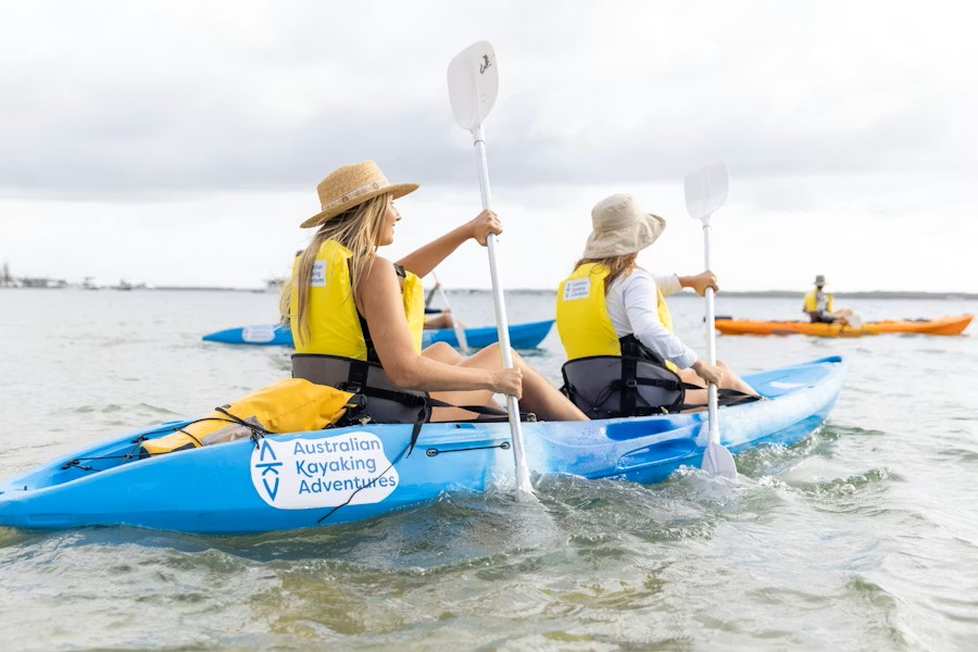Gold Coast Morning Dolphin Kayaking & Snorkeling Tour: Wildlife Adventure