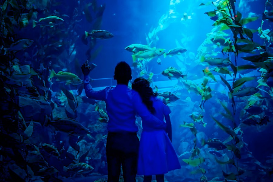 Ripley’s Aquarium of Canada – Sharks After Dark Admission