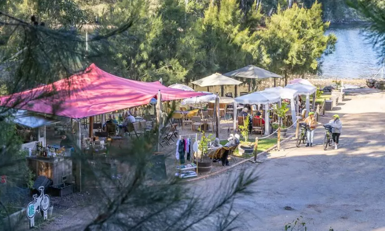 Self-Guided Coastal E-Bike Adventure: Oysters, Beer & Scenic Trails