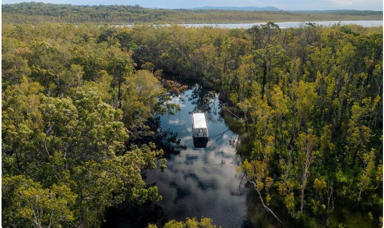 Serenity Cruise: Discover Australia’s Everglades