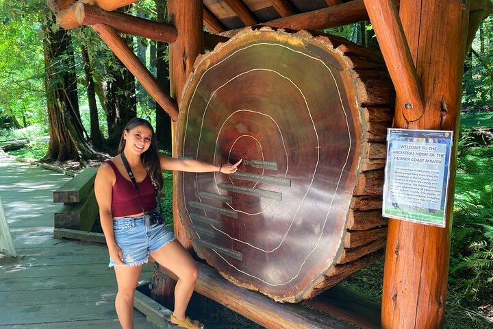 San Francisco Nature & Coastal Private Tour – Muir Woods and Sausalito Highlights