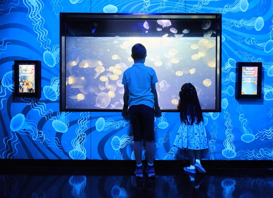 Melbourne SEA LIFE Aquarium Experience Tickets