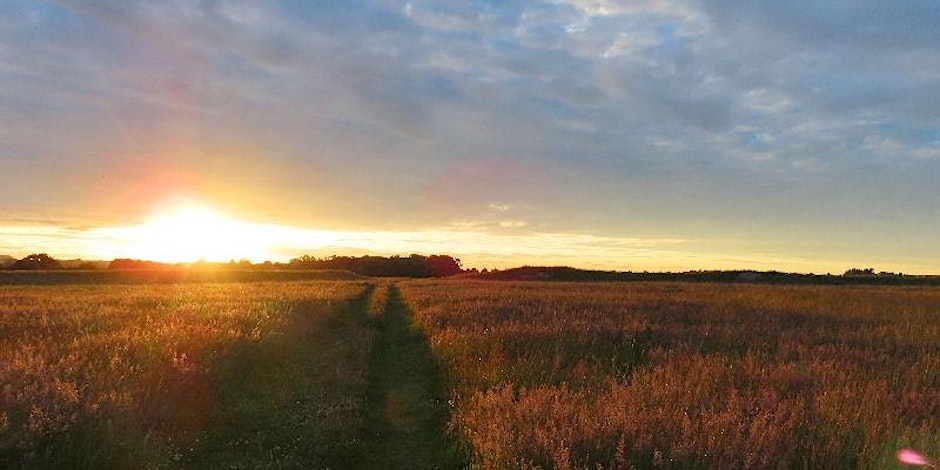 Thornborough North Henge Tour