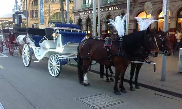 🏙️ Melbourne Carriage Experience: 40-Minute Ride for Groups Up to Six (Valued at $270)