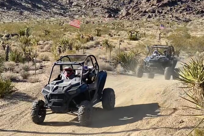 Hidden Valley and Primm Valley RZR Tour from Las Vegas