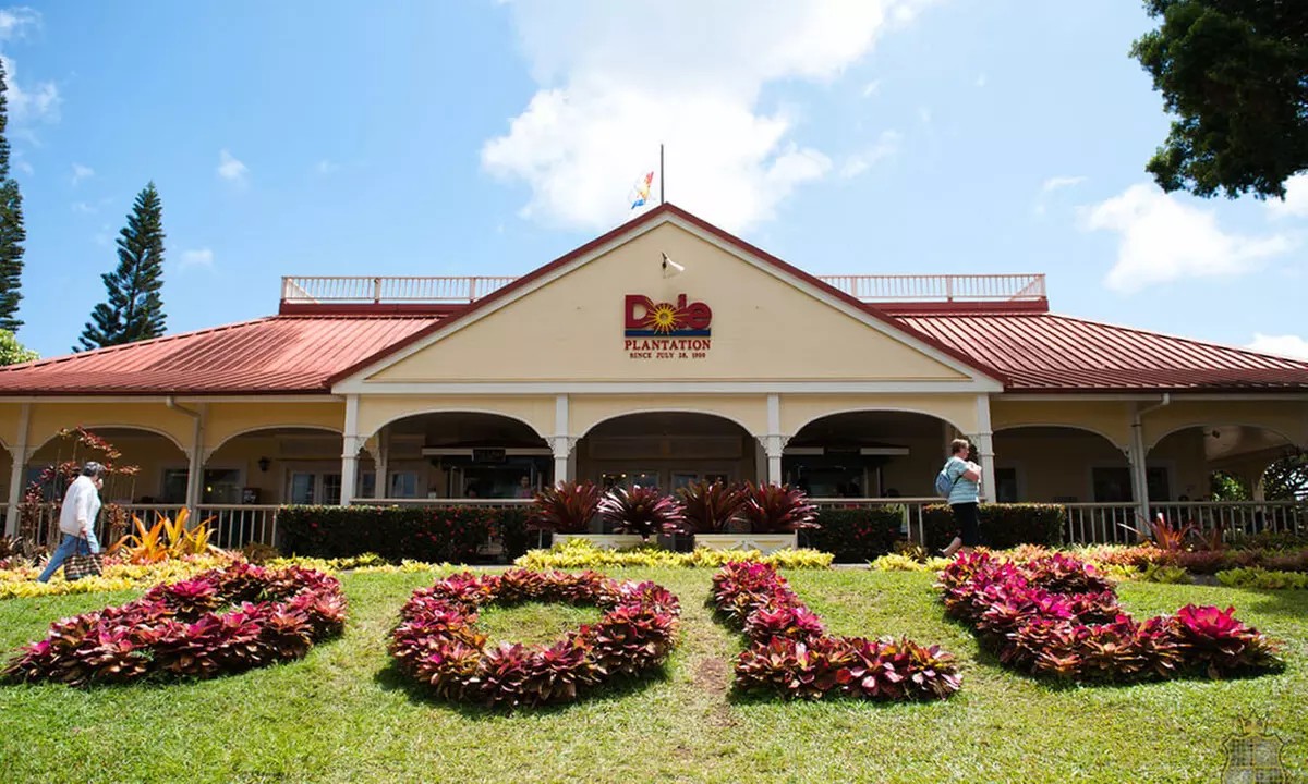 Oahu 16-Location Guided Tour — Dole Plantation, Pali Lookout & More (Save Up to 58%)