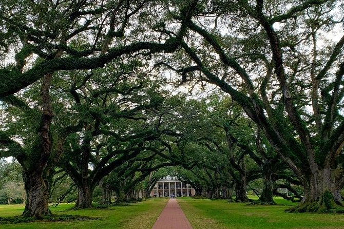 Oak Alley or Laura Plantation Guided Day Tour from New Orleans