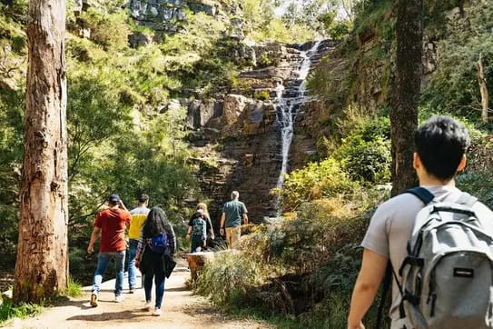 From Melbourne: Small-Group Eco Adventure to the Grampians National Park