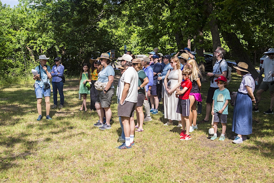Naturalists at the Ney: Talk with Natasia Moore