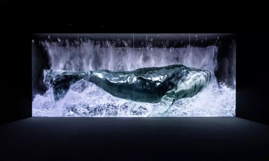 Step Into the Extraordinary: ARTE MUSEUM’s Multi-Sensory Art Experience